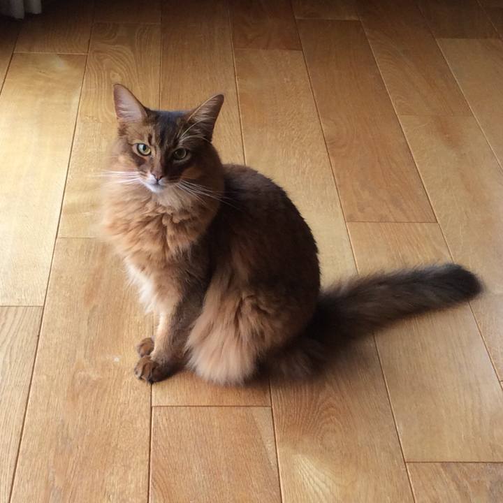 90cb9b65 6dd6 4007 98dd 1f7781b4f1e7 1627192520021