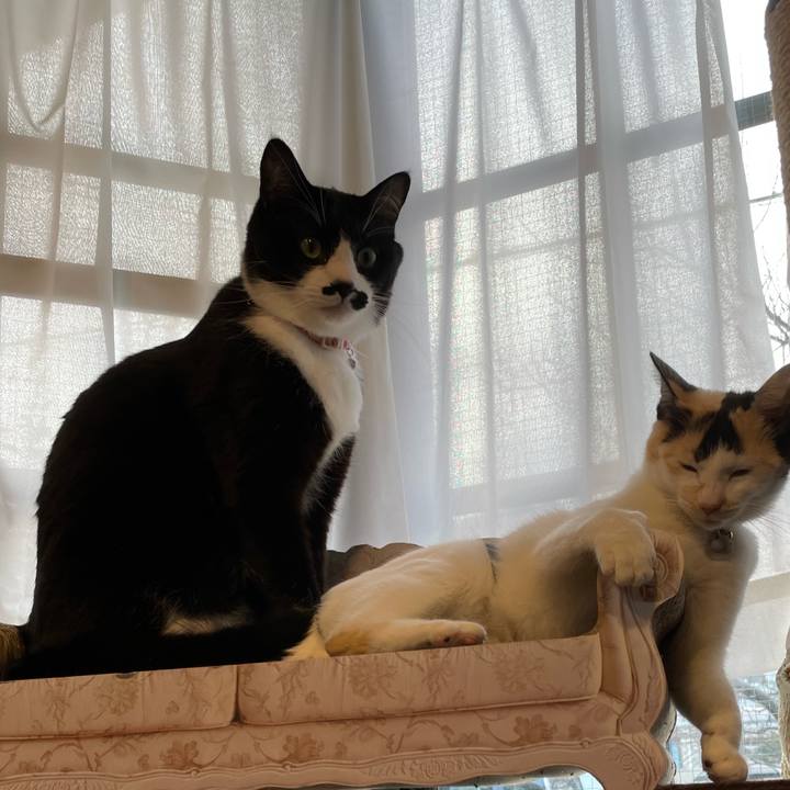 90cba4cf 6e81 46cb b6cd eb38095869de 1677967381728