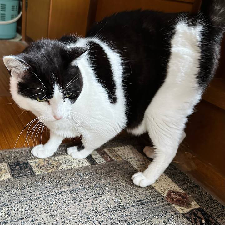 90cbbb9a 9f41 41ea b405 707bafe695a3 1717551455049