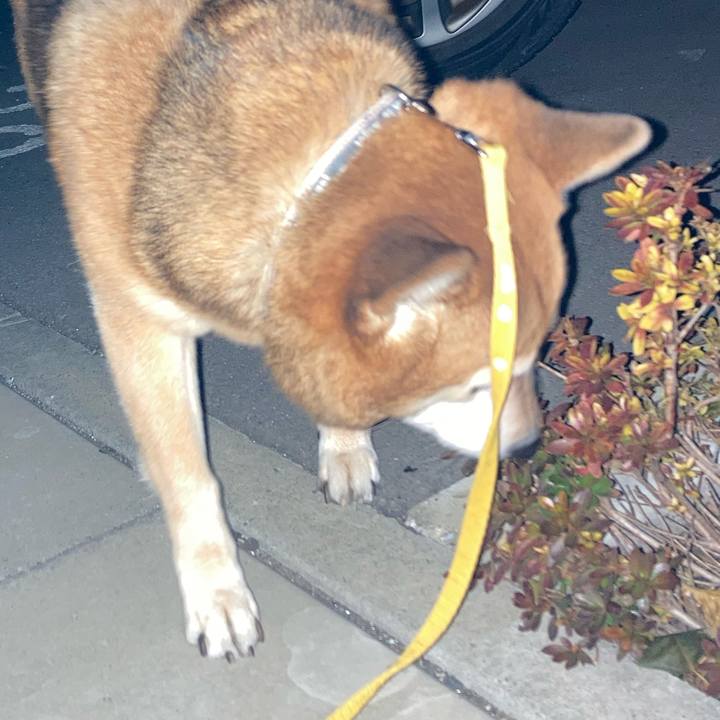 90cbbedc 621d 47b5 9096 3d2ee27ed9ec 1639395473343