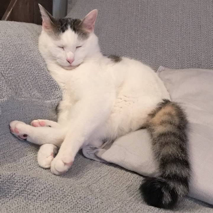 90cbdc95 a4d1 4ba1 8a67 46da6ddc0c10 1572913594847