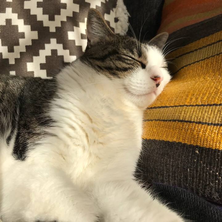 90cbe827 54b2 41f9 bfcb 8fbafa988460 1543107703753