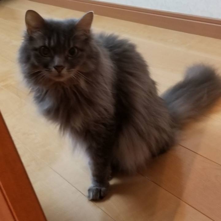 90cbfefc 0324 47d5 98ee 9c9ddc48c9ec 1532351325826