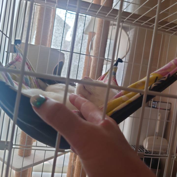 90cc0822 2471 430f 937a 625843ae6ecc 1689814895805