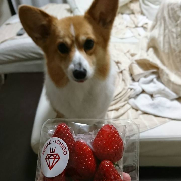 90cc293d d885 4046 8663 4b784966c8e9 1552255813429