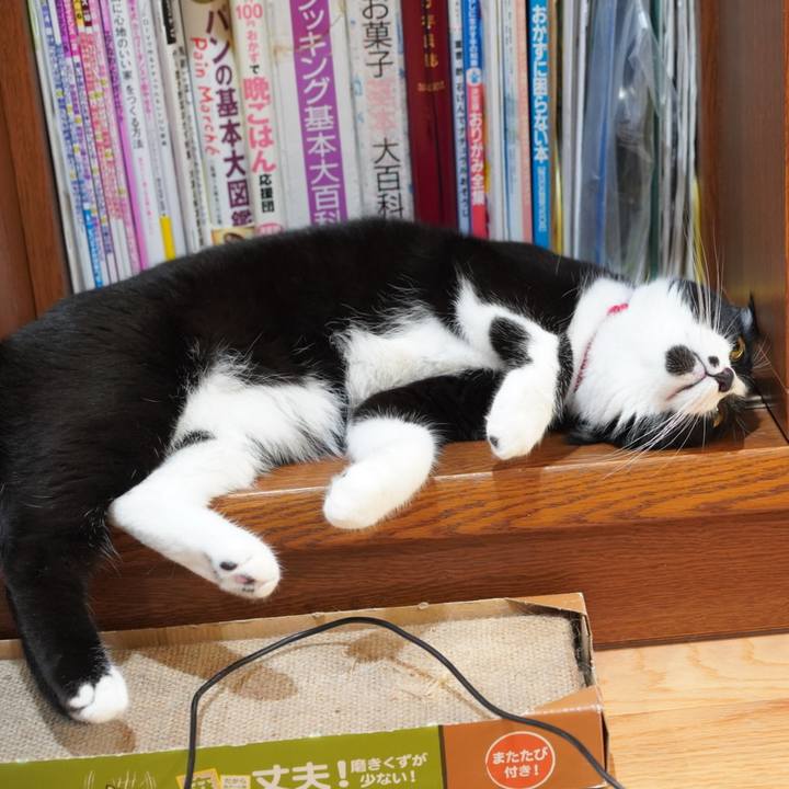 90cc7abc 7e21 42d8 8991 d53c8494d43c 1630070109279