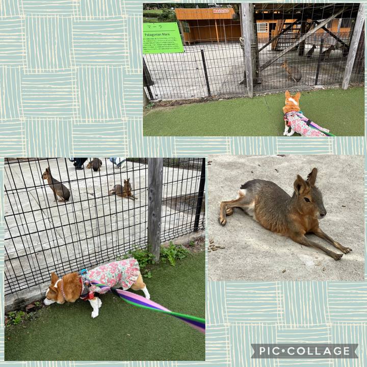 90cc7d45 d241 4ad5 bcb6 1cf1ea8582be 1760340605355