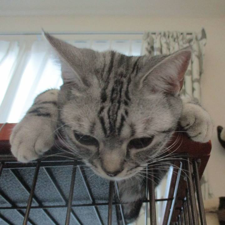 90ccd9ef a43b 42e3 9967 16778af67828 1563799178449