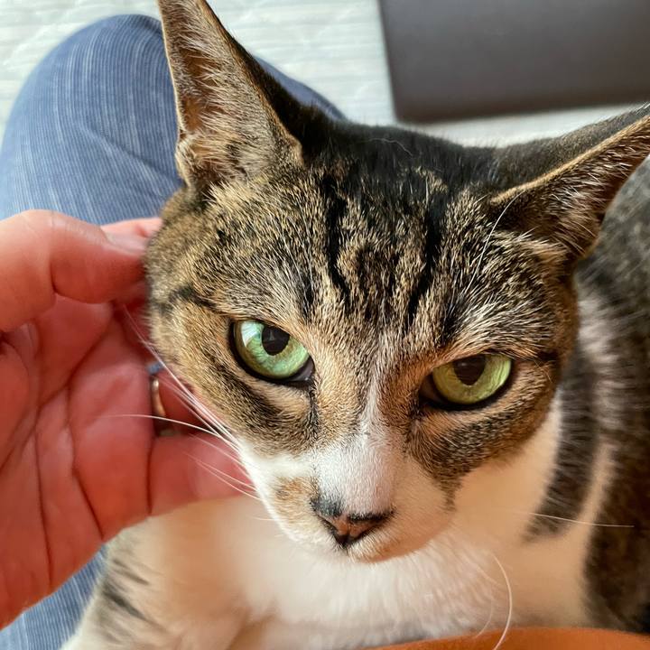 90cd638f 5963 4dda a367 aac29110eaf6 1656466284447