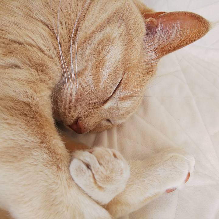 90cd661a 6460 456d 9e0d 8f4fda8a5ac0 1683952282393