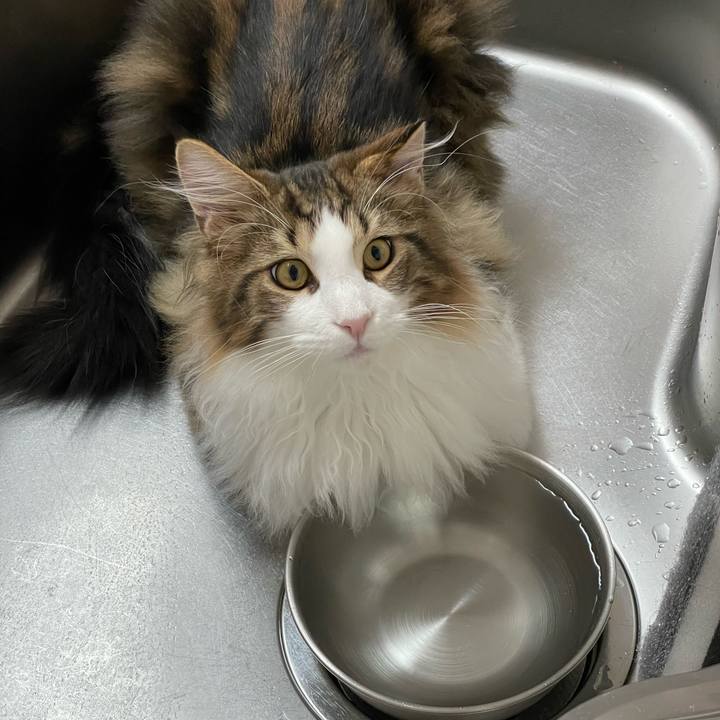 90cdb284 87bb 43ac 860a 45d9ac9299a4 1639211092647