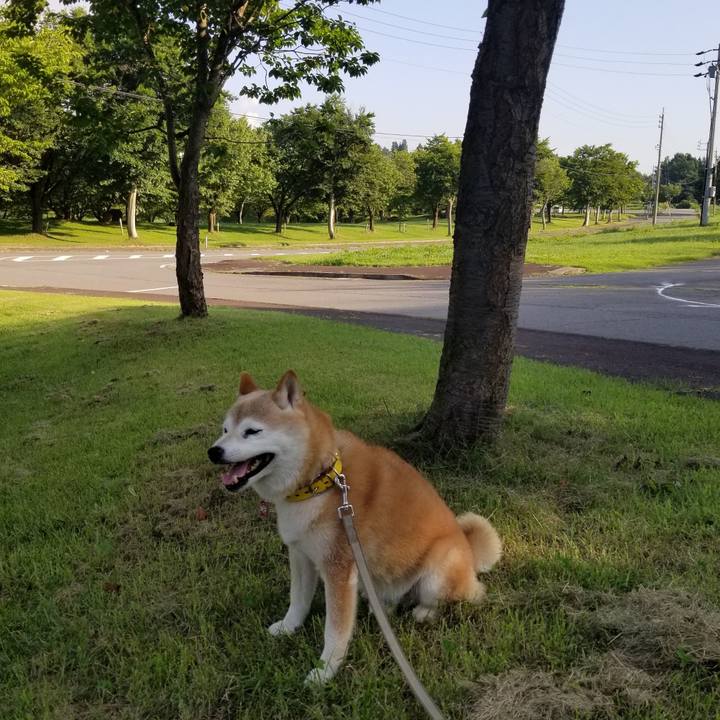 90cdbd23 876a 4ca1 9649 20aa7b6554ab 1689581525521