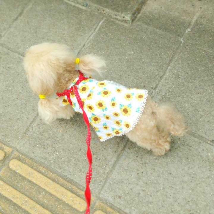 90cdc7fd d0b3 4033 965f db17db00e047 1559276369580