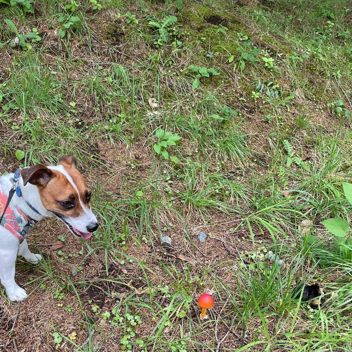 90cdd22c 8328 4c5a 88e3 6a411d381a84 1630835394479