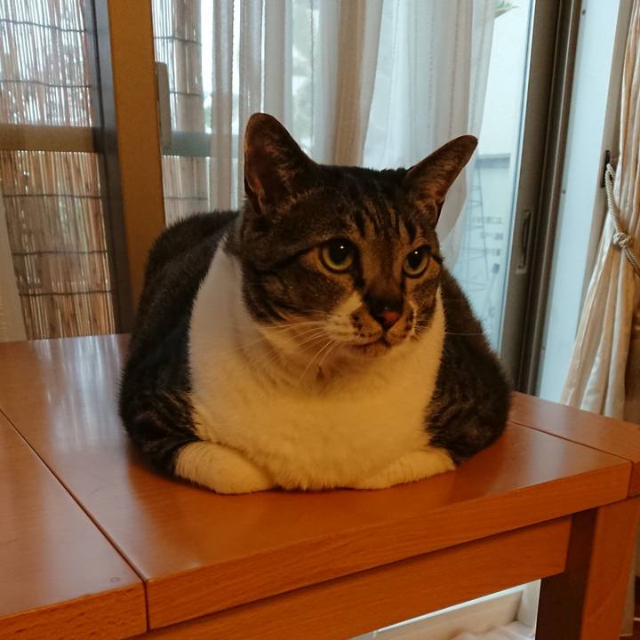 90cde219 dd19 4ec8 8642 7d4f42a93e7f 1560647238609