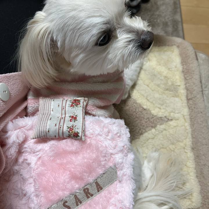 90ce1af4 7edf 4f74 bf7a 1829a5dd238c 1676898395765