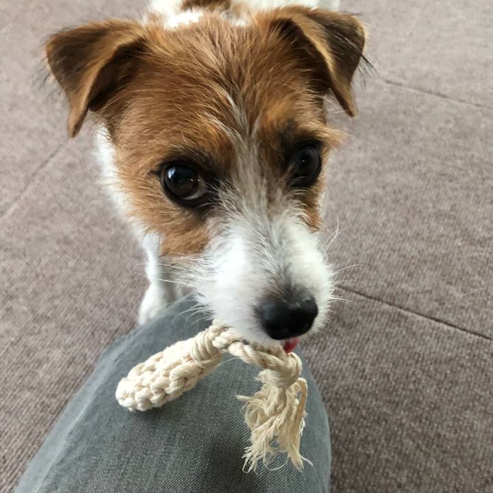 90ce48f9 0aa2 481e bcc6 74c8843a67bf 1535271904968