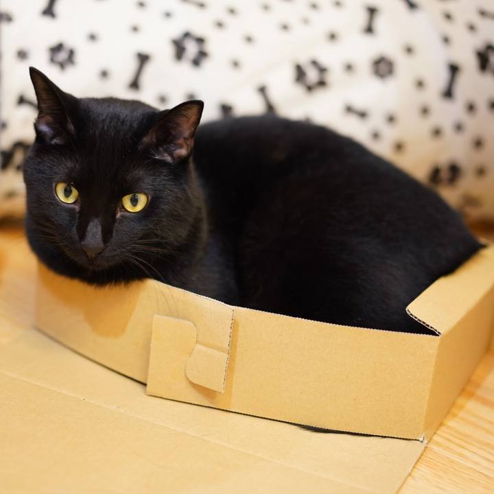 90ce51e0 440a 470f b9ee ce388a5b3133 1567432208090