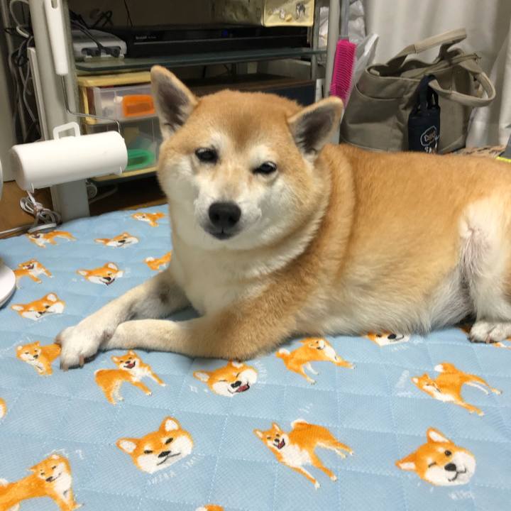 90ce7026 1eed 4bca 8546 f5f22746808f 1568982760050