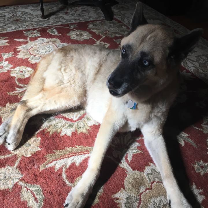 90ce7557 d10a 4cde 9f7f 94e2599bcd66 1570919681623