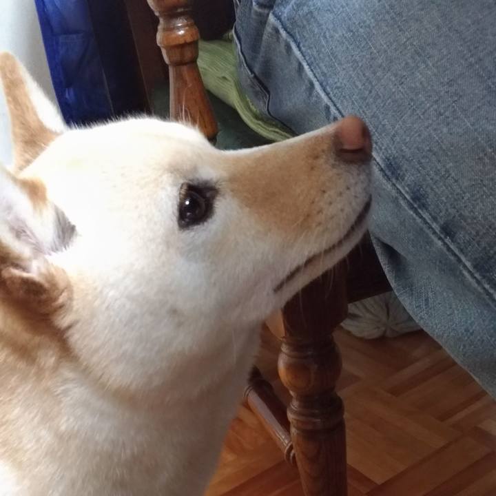 90cebe9d 1cbe 4d3f 880c bc57d01092c3 1555206923063