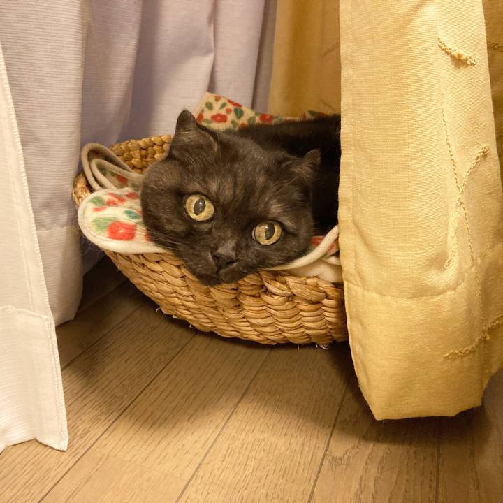 90cec414 91a2 4250 b84c 0007efc5c163 1603210147615