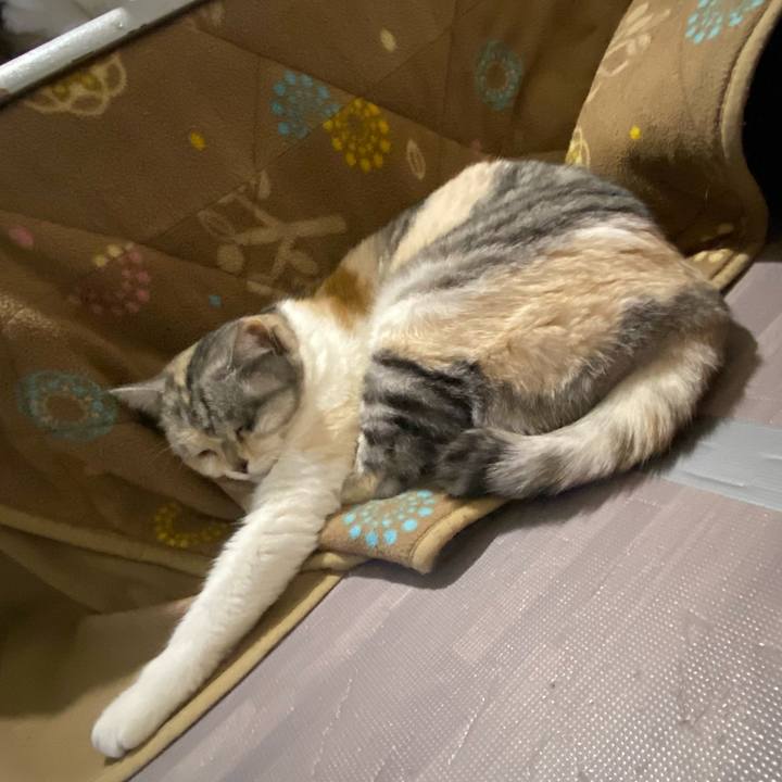 90ced19f 250f 4e27 9637 f32b886f5d9f 1643807836475