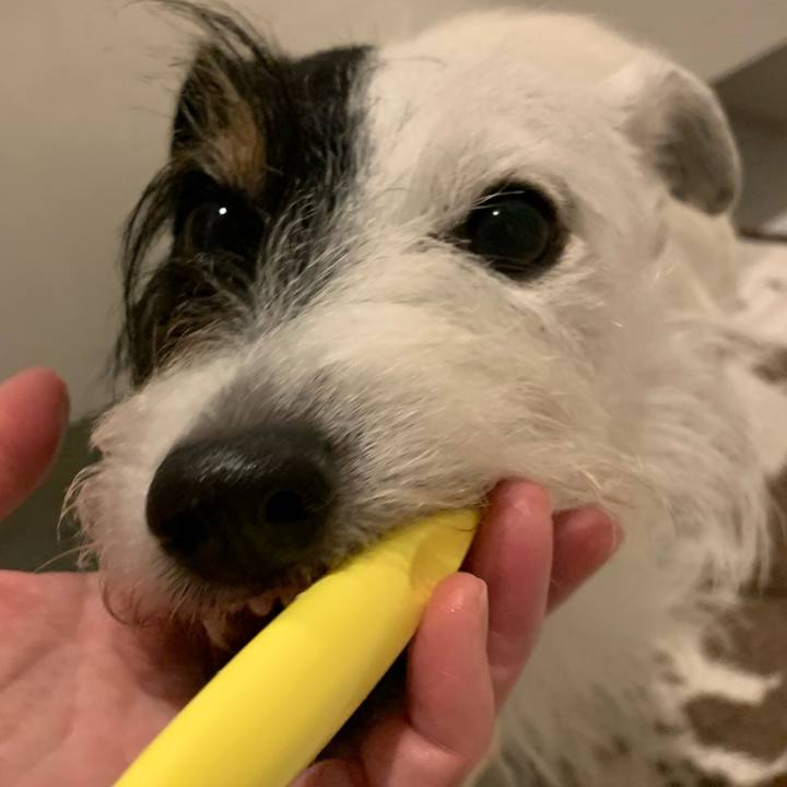 90ced559 ca81 46a4 ac38 e2bec73efe47 1698411561333