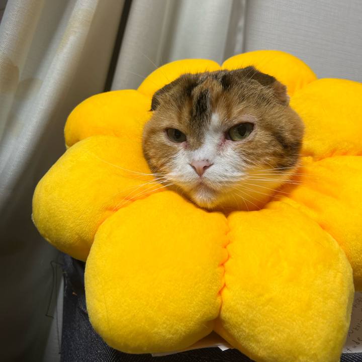 90ced63b 26fc 4e42 aba9 ea24a1fbf199 1645951327094