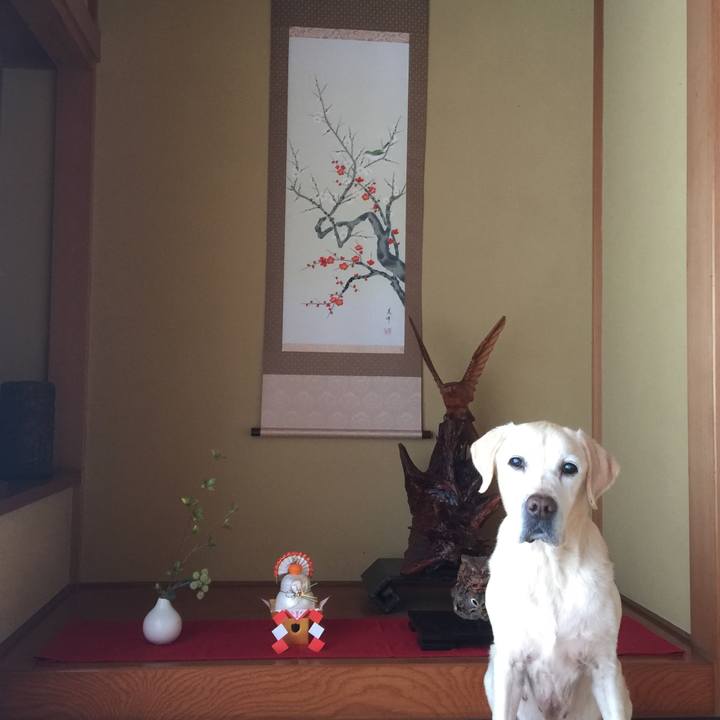 90cef19e f085 4680 90be 47a8f6fc27be 1609428992171