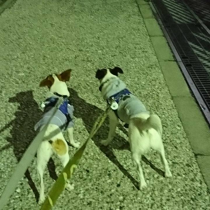 90cf14a3 decc 4ab3 9787 2d93b7e63137 1528807244101