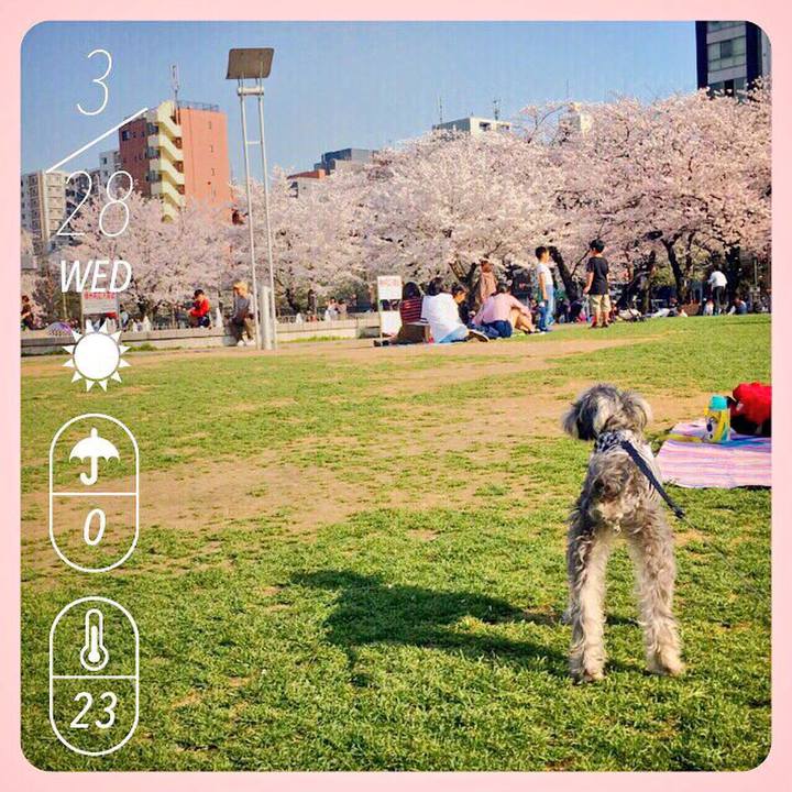 90cf3bfc 80e4 48ed 8315 75e576bcfc61 1522221545047