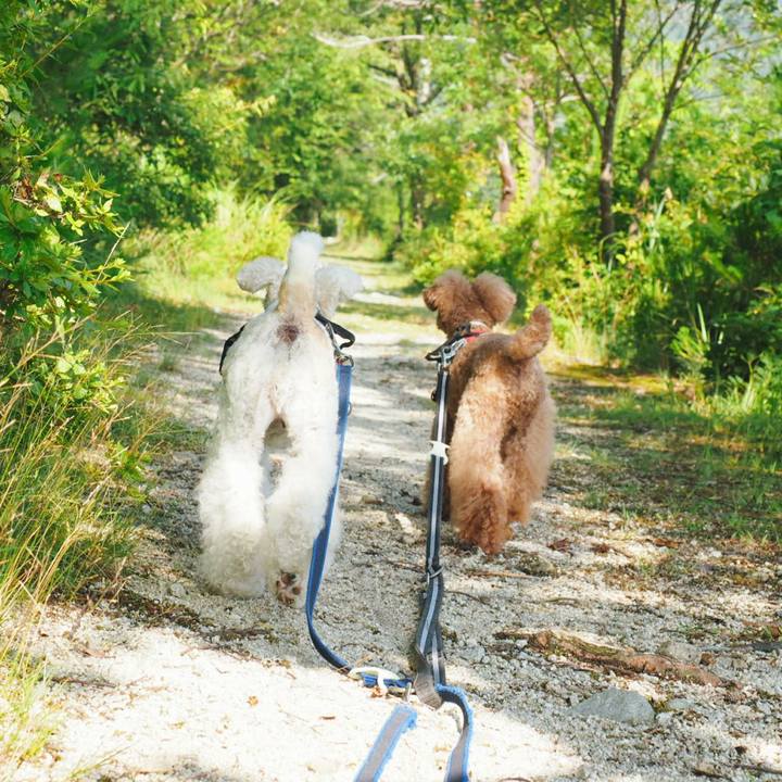 90cf43cc a64a 4024 809b d71a64791680 1529820534505