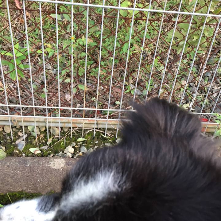 90cf4423 d13b 43eb 93c5 b6916af3cc5c 1569290214944