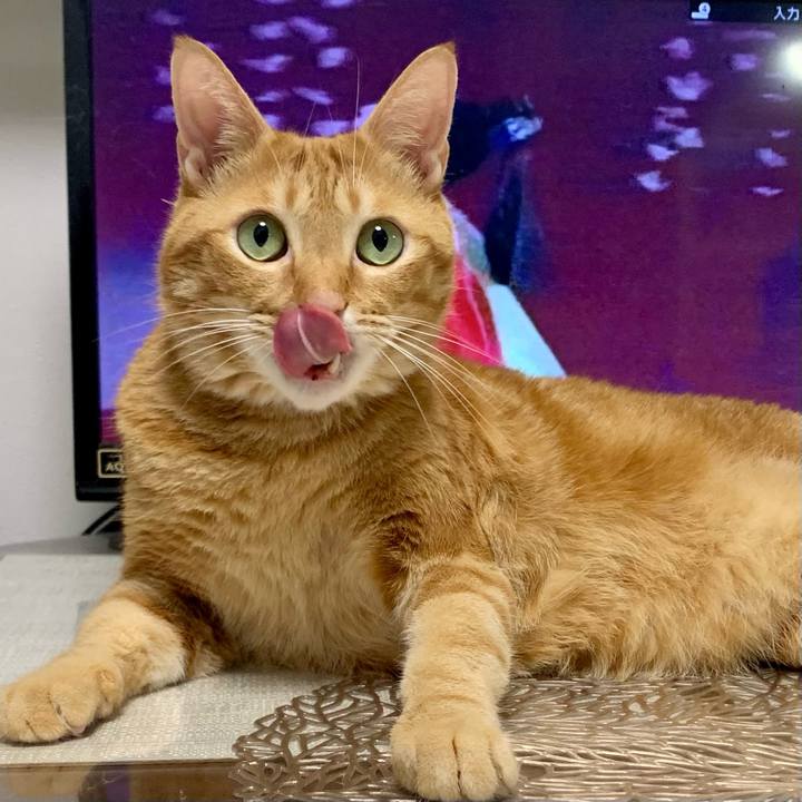 90cf6a4e 17dd 469b 89d0 f2dd1be8e8a7 1640823080992