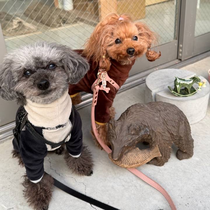 90cfab2e e6ee 4ef7 b777 e4d81067a1bb 1768088303840