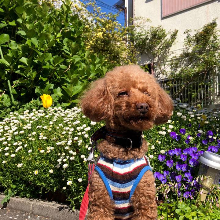 90cfbe69 0749 4f3d 9a8e 4a6416bd2a88 1555722036313