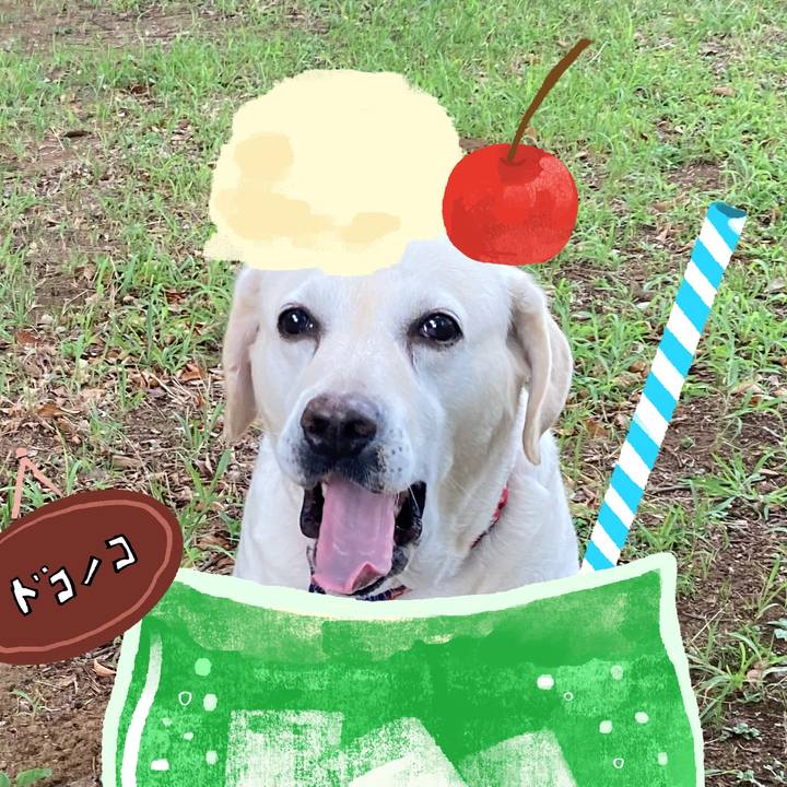 90cfde0f 4ff3 4b58 85d6 283d38ead1c5 1755146769678