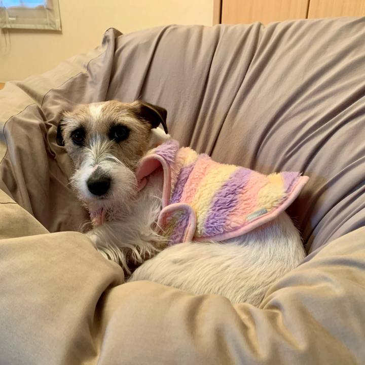 90d017cd efae 4810 b9ae 4e9d91557c89 1610691046578