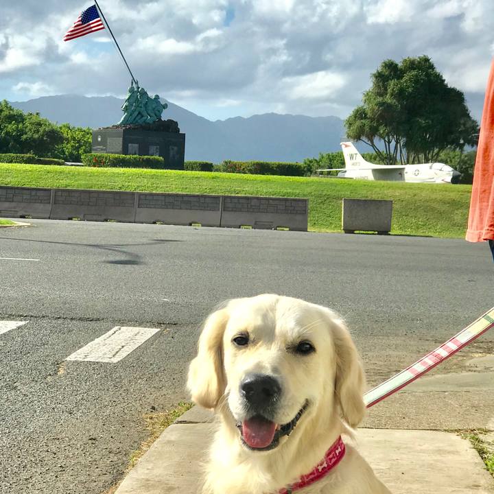 90d01fa1 bc6e 4828 8fbe 328ec09bca8f 1548120285868