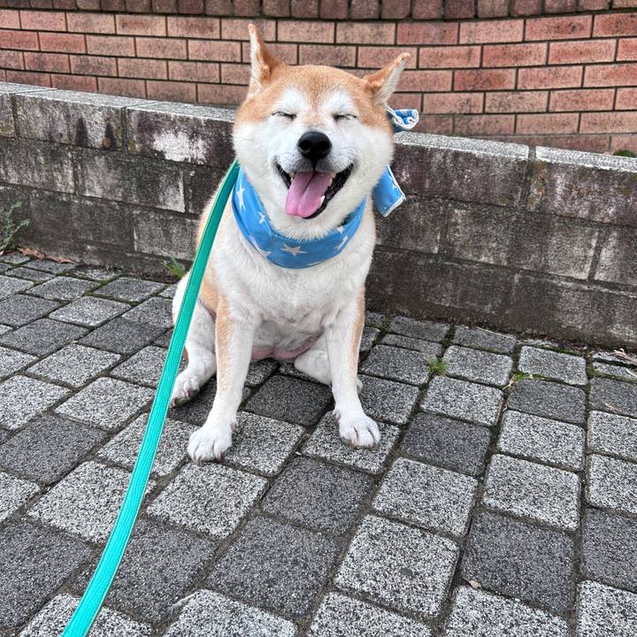 90d04238 39f8 4234 91f8 812f550bc670 1724194710656