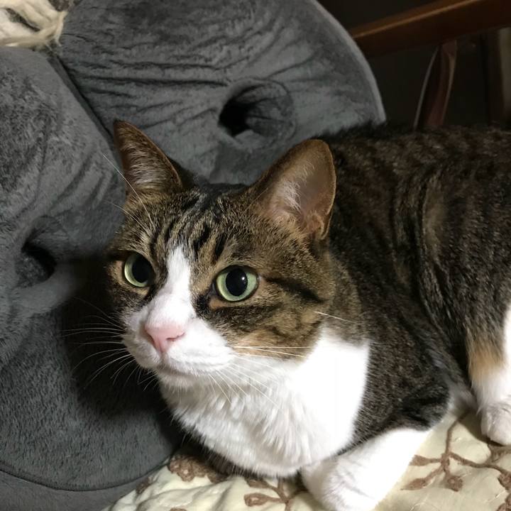 90d0590b 00fc 4df3 9a7b ffe1660e39f0 1532009930037