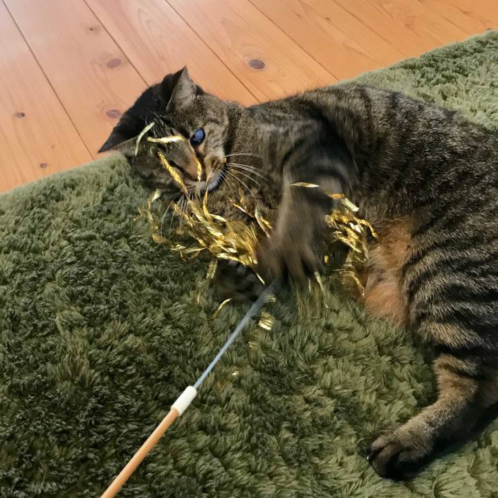 90d0d79e 361b 4ac1 8599 a2152269e041 1553571550648