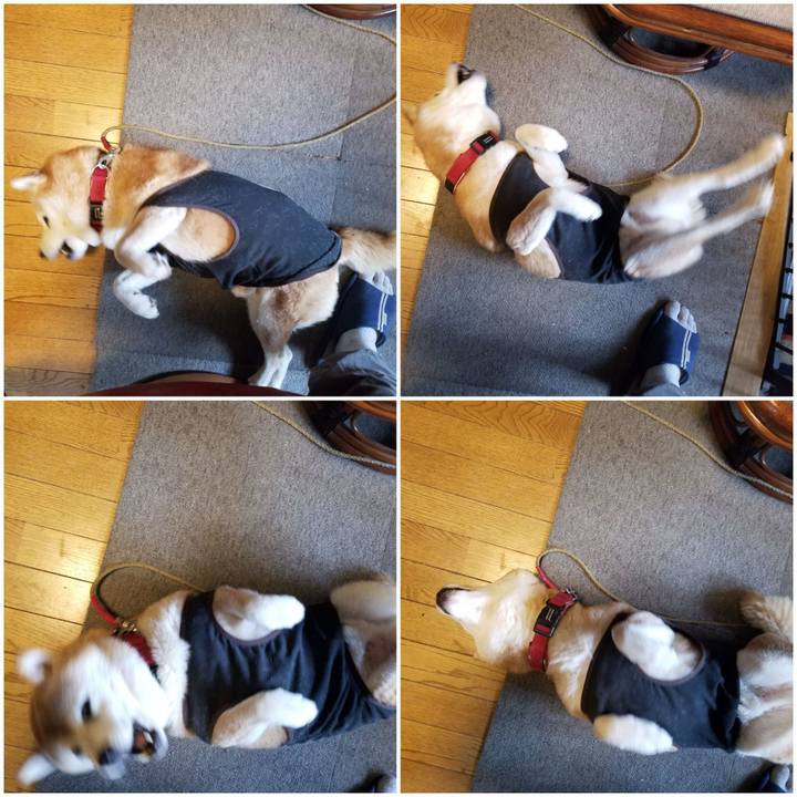 90d0e22e 6a40 44a8 9afa acc5cbad1e6d 1730937465012