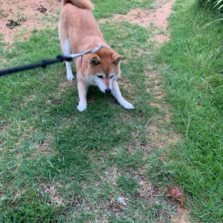 90d0e657 9b5a 4ab0 b476 8d342137b1a8 1594283276832