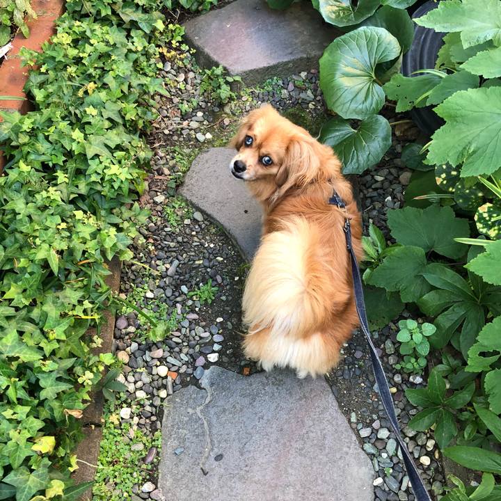 90d0e7d3 3e73 456d 87eb 8fecea22c387 1531083882052