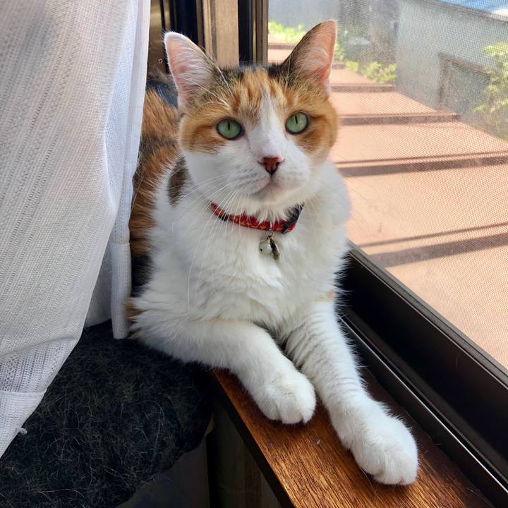 90d15ff6 0c76 442b 959c d38afdcb0ccf 1565535382098