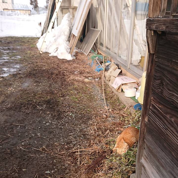 90d17726 893a 4c32 8fb4 63c72e1d523e 1647135286850