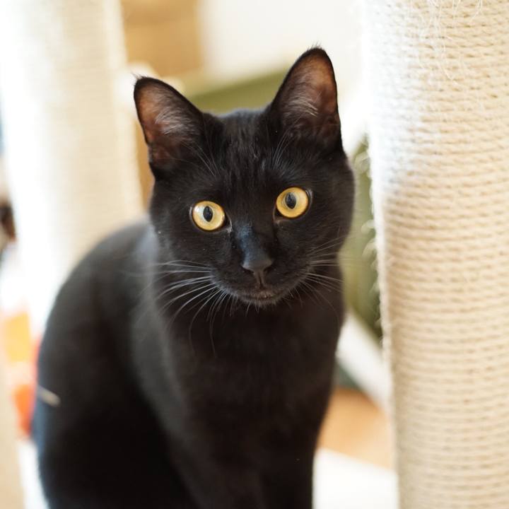 90d17a1e 6969 41dc 9ed2 ef587f32be94 1524969334303