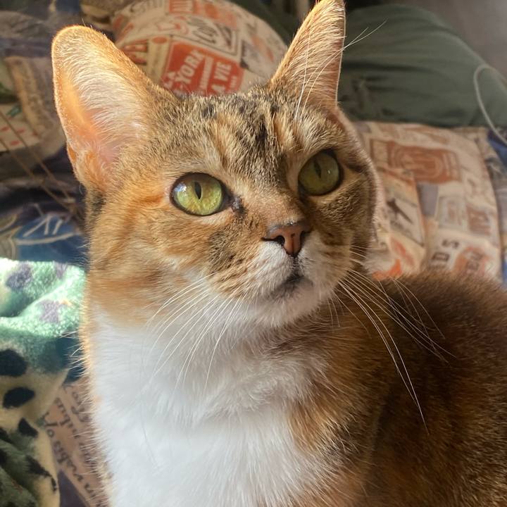 90d1b147 b3c6 4b97 a0c5 2ec493cfe07f 1645838471188